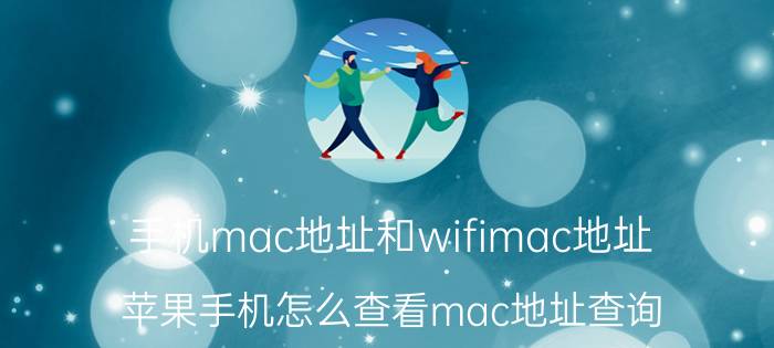 手机mac地址和wifimac地址 苹果手机怎么查看mac地址查询？